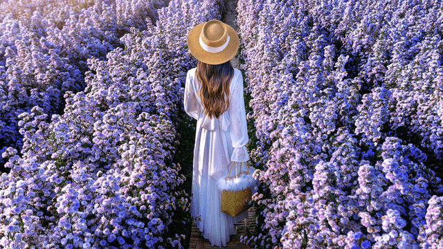 花畑を歩く女性